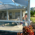 Lilly in the Lanai
